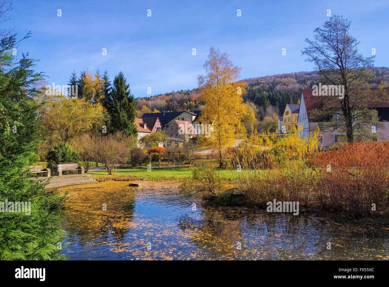 Jonsdorf Park im Herbst im Zittauer Gebirge - Jonsdorf Park in fall in Zittau Mountains Stock Photo