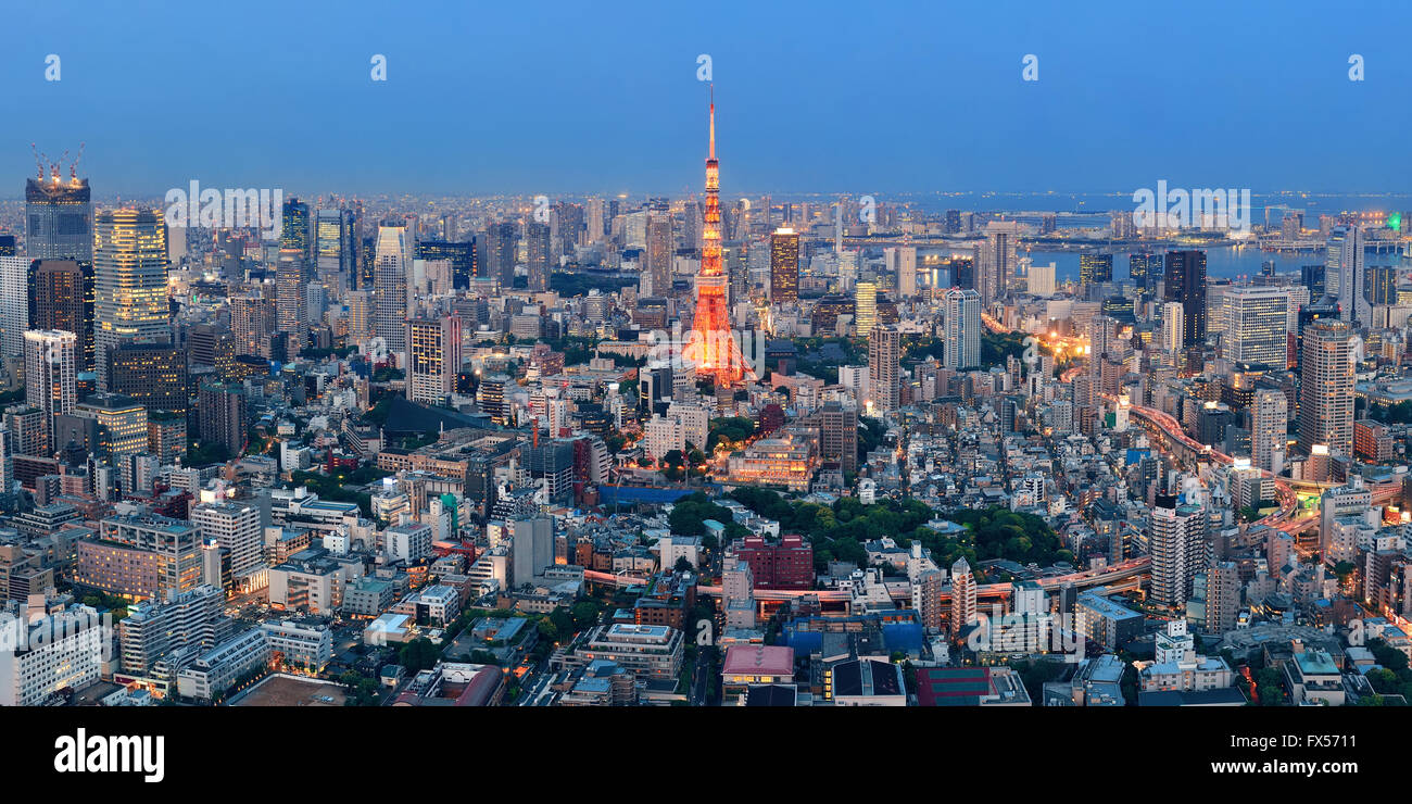 Tokyo Tower and urban skyline rooftop view at night, Japan. Stock Photo