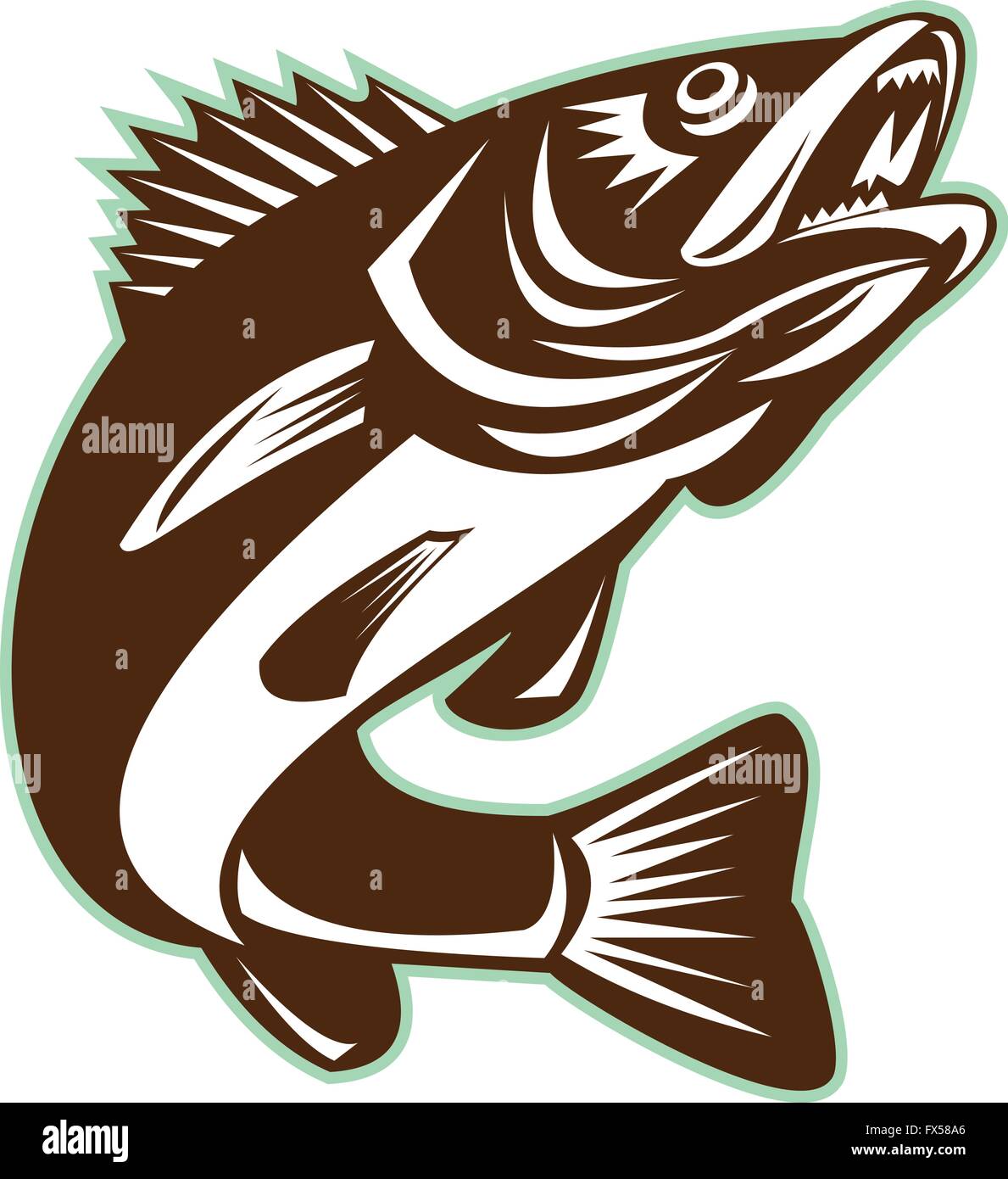 Illustration of a Walleye (Sander vitreus, formerly Stizostedion vitreum), a freshwater perciform fish jumping up on isolated background done in retro style. Stock Vector