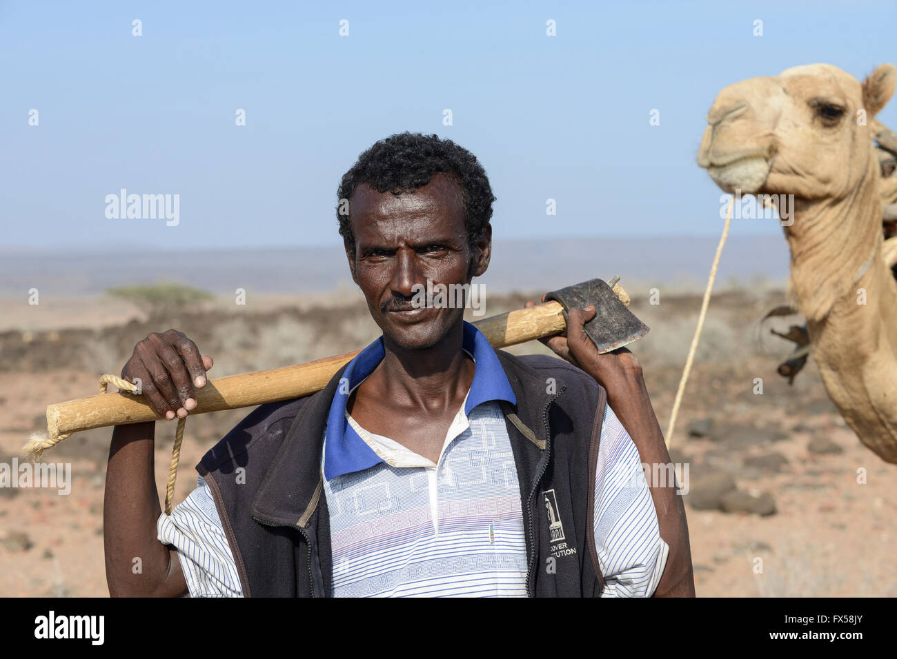 Animal horn axe hi-res stock photography and images - Alamy