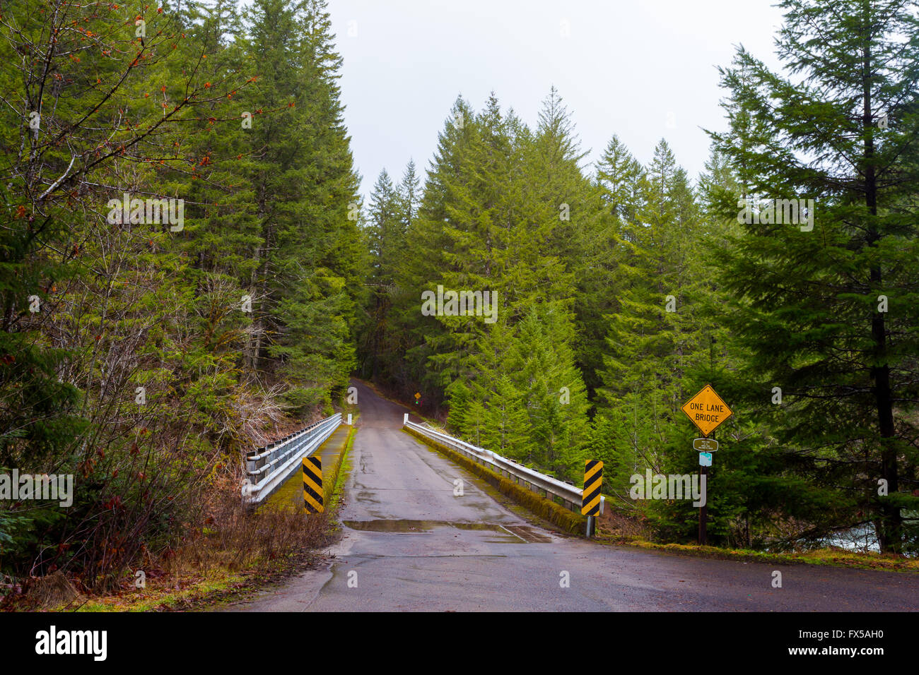 Forest area with a one lane bridge running over a small river in Oregon. Stock Photo