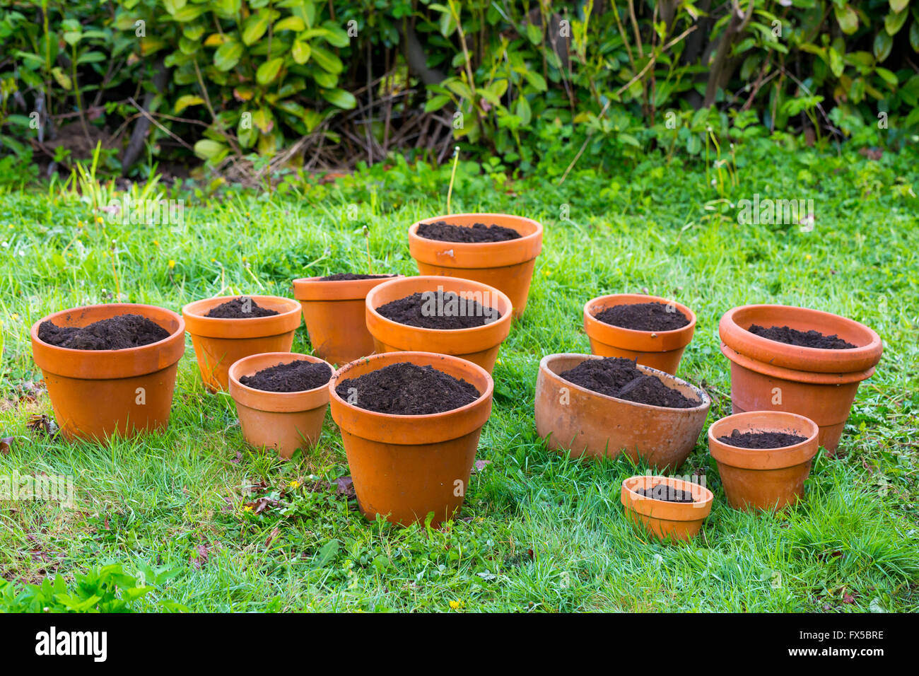 Fresh soil in terra cotta pots for a potted plant organic garden Stock