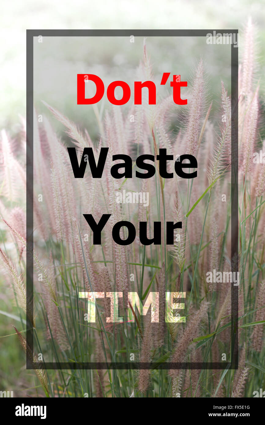 Inspirational quote of don't waste your time on field of grass Stock Photo