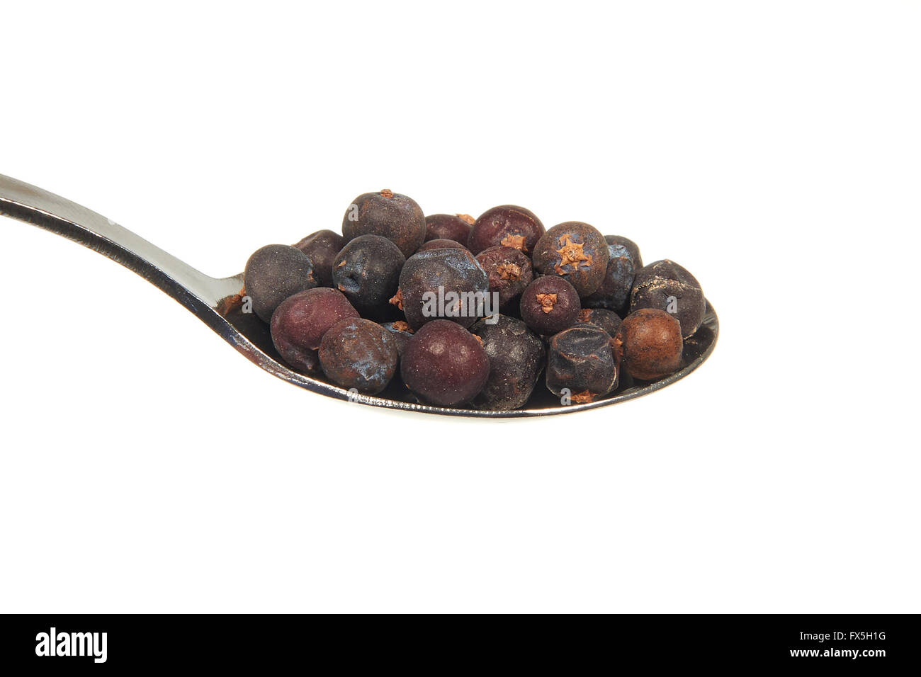 Dried juniper berries on a teaspoon on a white background Stock Photo