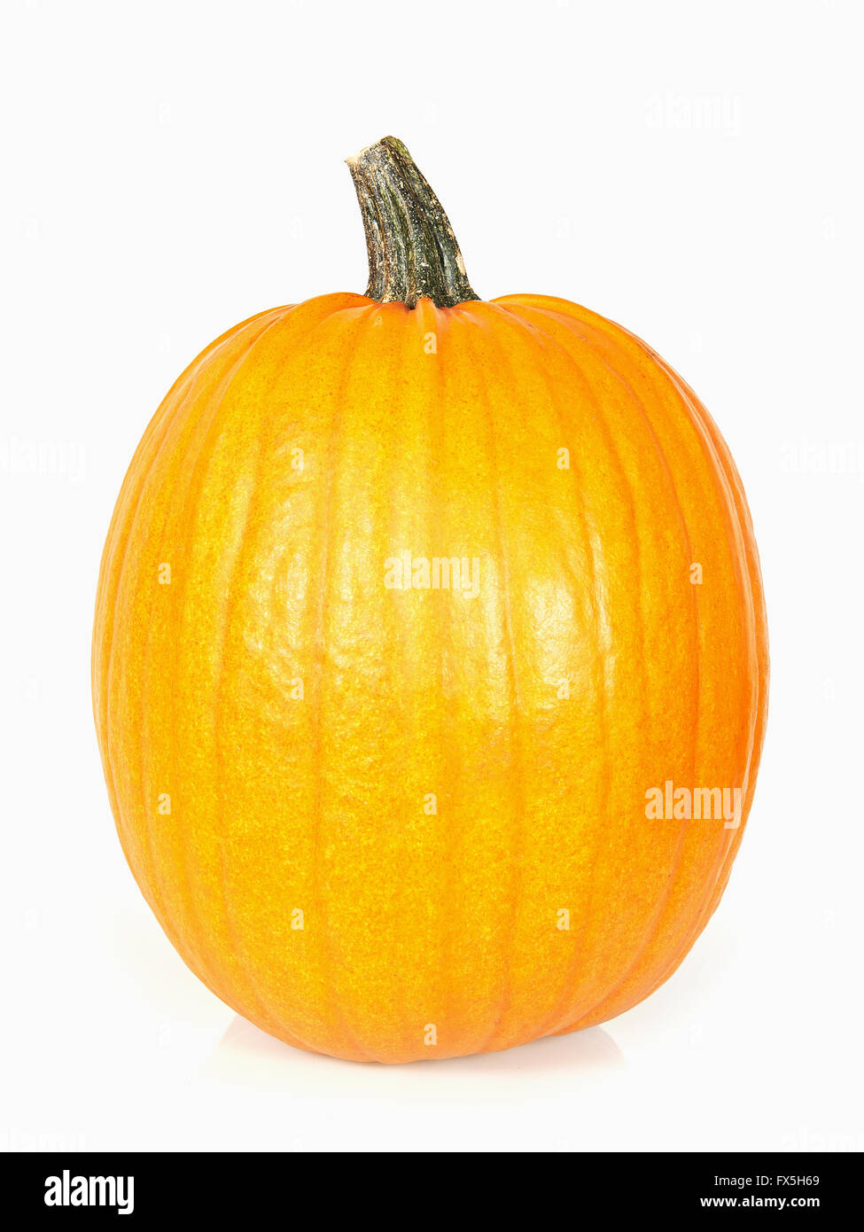 Orange pumpkin isolated on white background Stock Photo - Alamy