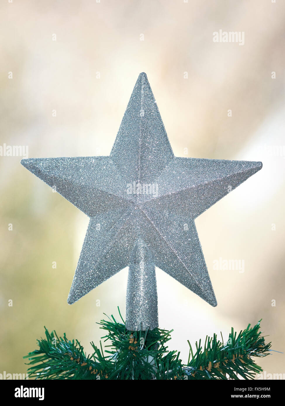 Christmas star sitting on top of a pine tree Stock Photo - Alamy