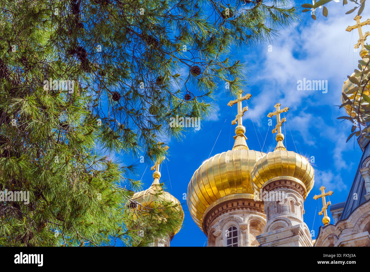 Pine Tree and Mary Magdalene Convent on the Mount of Olives, Jerusalem, israel Stock Photo