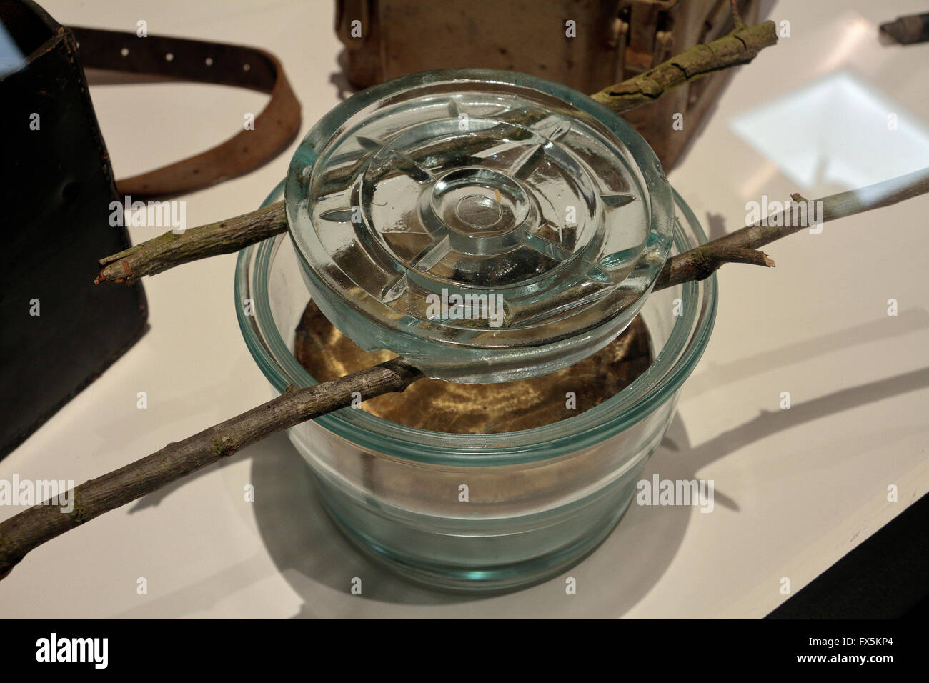 A German Glasmine 43 anti-personnel mine in the Bastogne War Museum, Bastogne, Belgium. Stock Photo