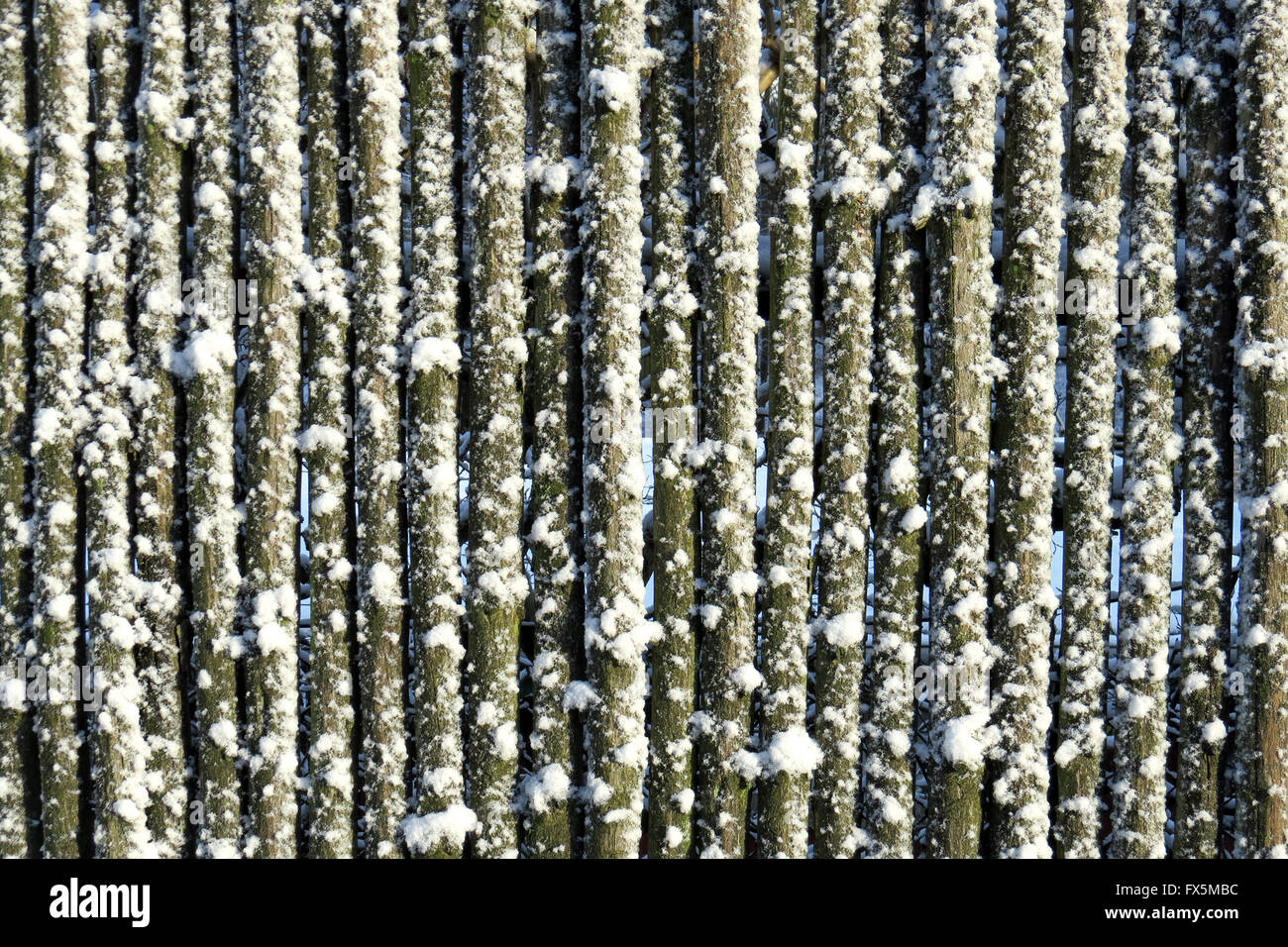 Wooden fence with snow and frost attached Stock Photo - Alamy