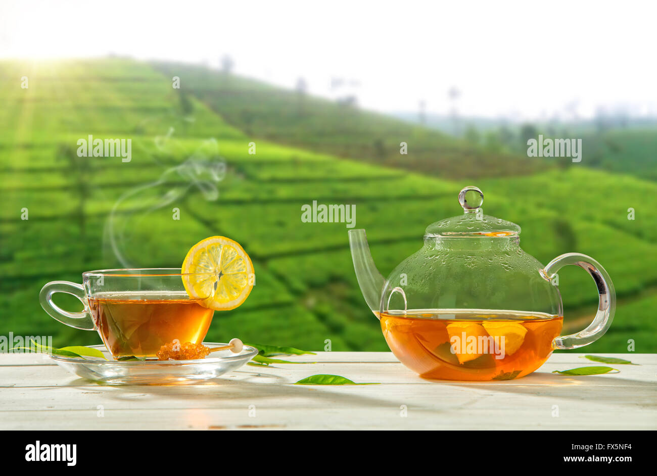 Bright steaming tea kettle stands on a kitchen countertop, ready to brew a  fresh cup of hot tea. Stock Illustration