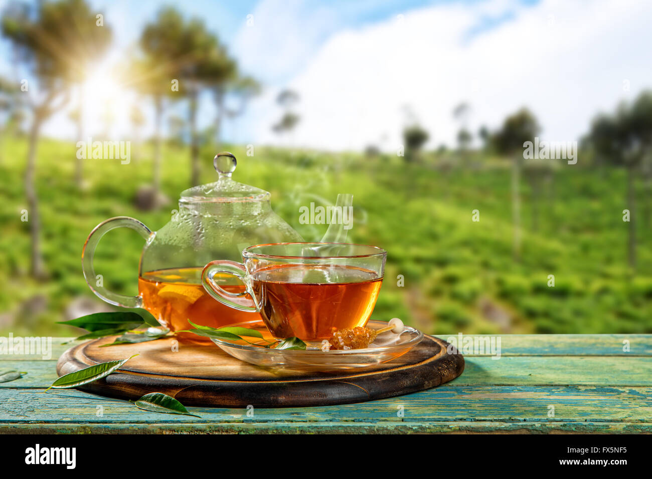 Cup of hot tea with plantation on background Stock Photo Alamy
