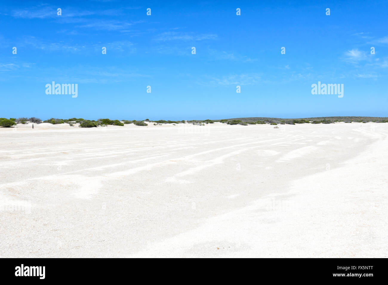 Shell Beach, Shark Bay, Western Australia, WA, has cockle shells (coquina) reaching a depth of 7 to 10 metres. Stock Photo
