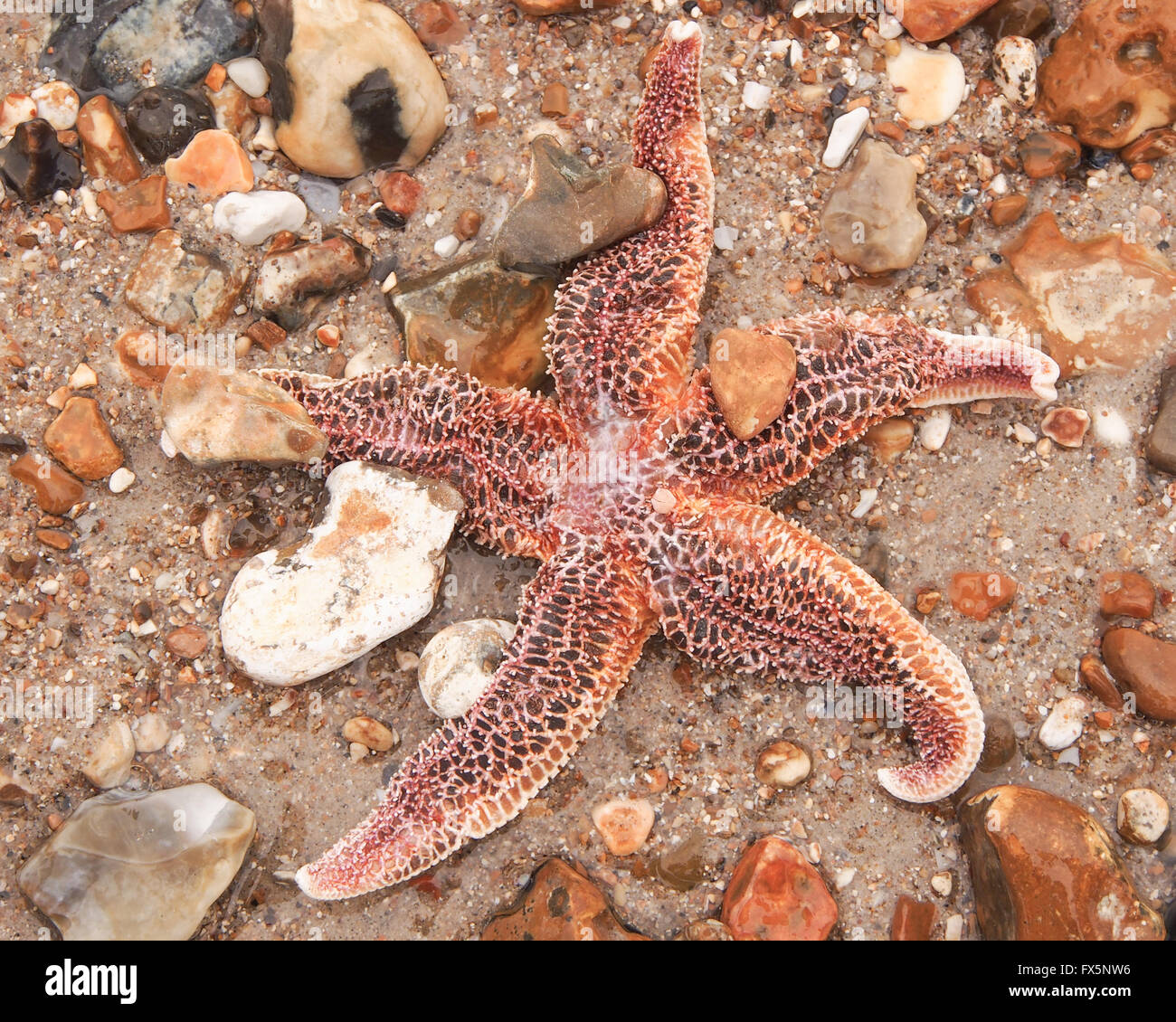 My Image 34