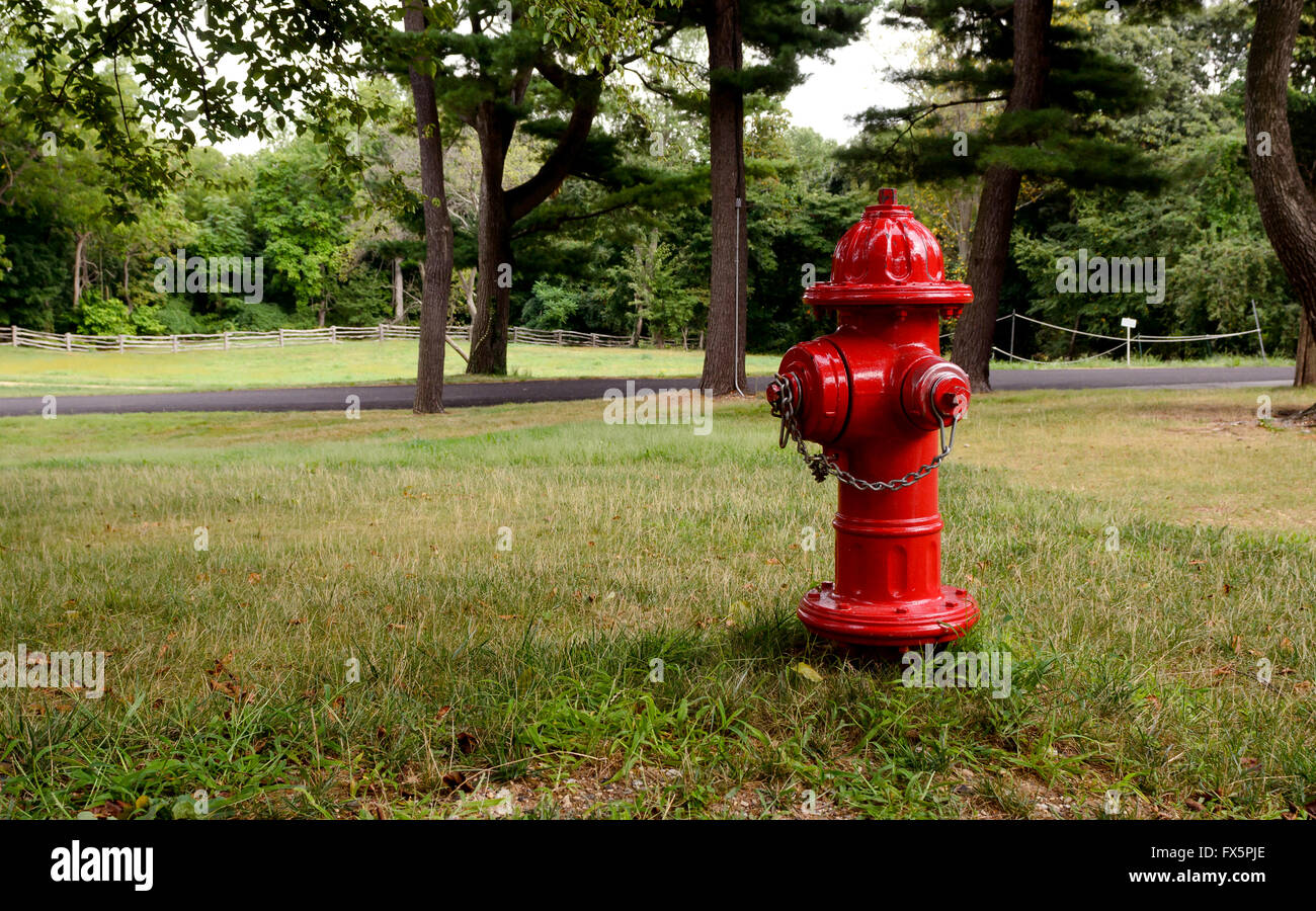 Red fire hydrant Stock Photo Alamy