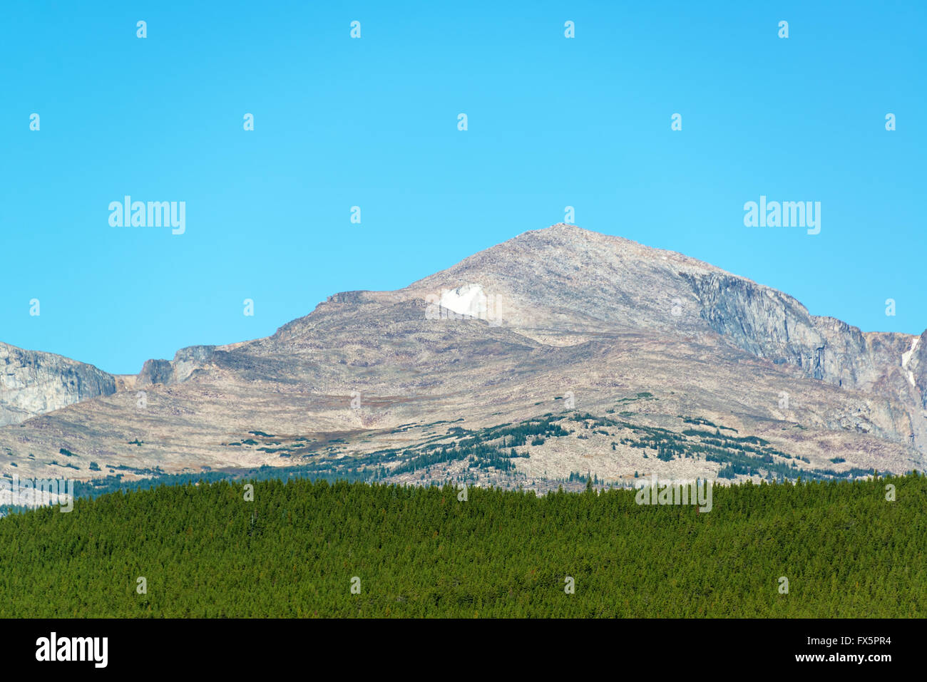 View of Darton Peak in the Bighorn National Forest in Wyoming Stock Photo