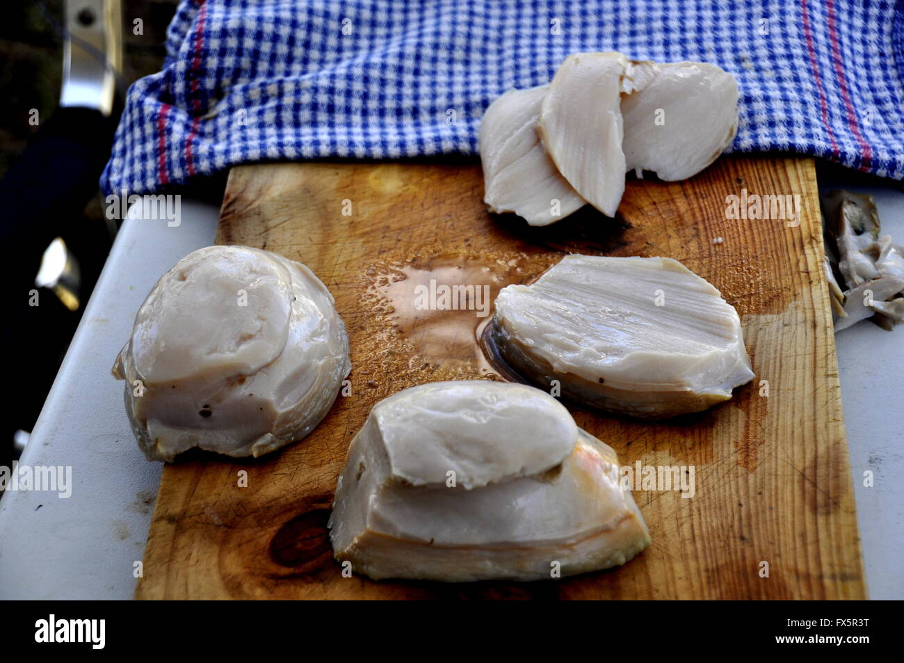 Preparation of Australian Green Lip Abalone Stock Photo Alamy