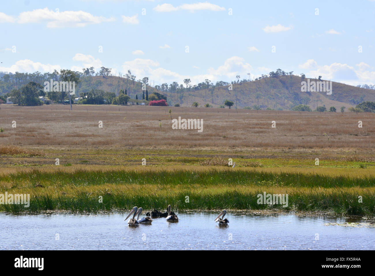 AUSTRALIAN OUTBACK CATTLE STATION Stock Photo