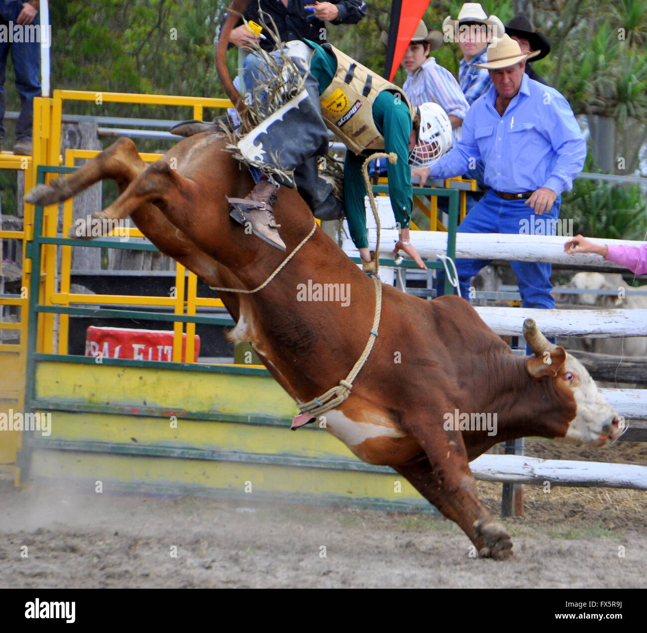Australian Rodeo Calendar Ellynn Nickie