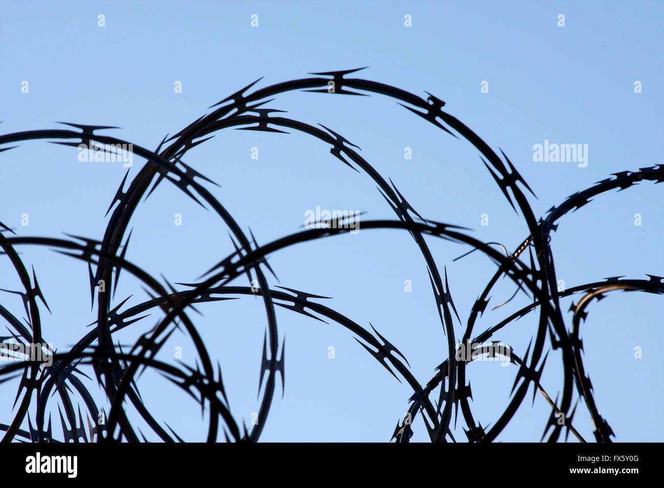 Razor wire silhouetted against a light blue sky Stock Photo