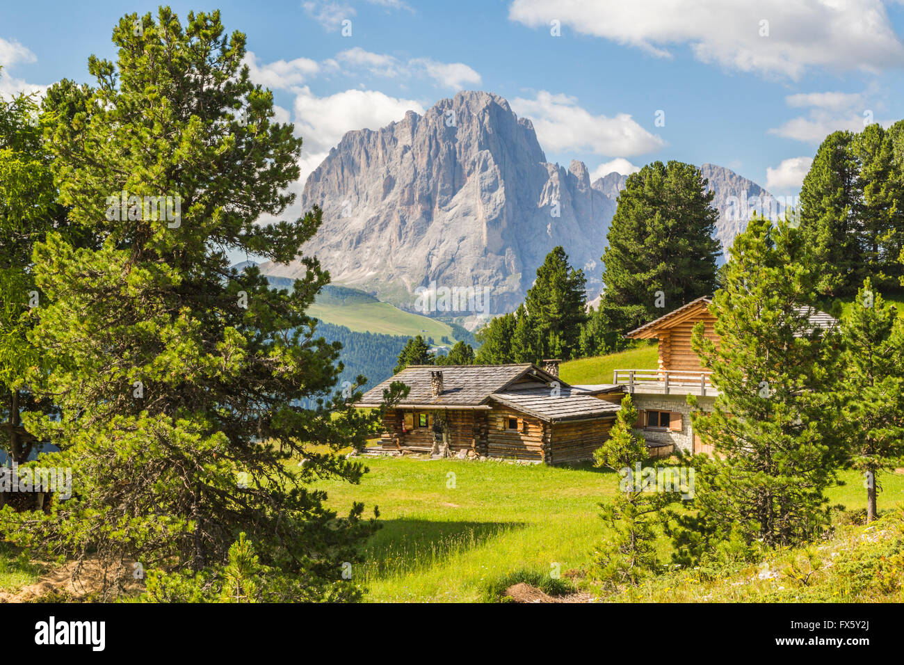 View over the Dolomites from Col Raiser, with a cabin, with spruce trees around, Selva, Val Gardena, Italy Stock Photo
