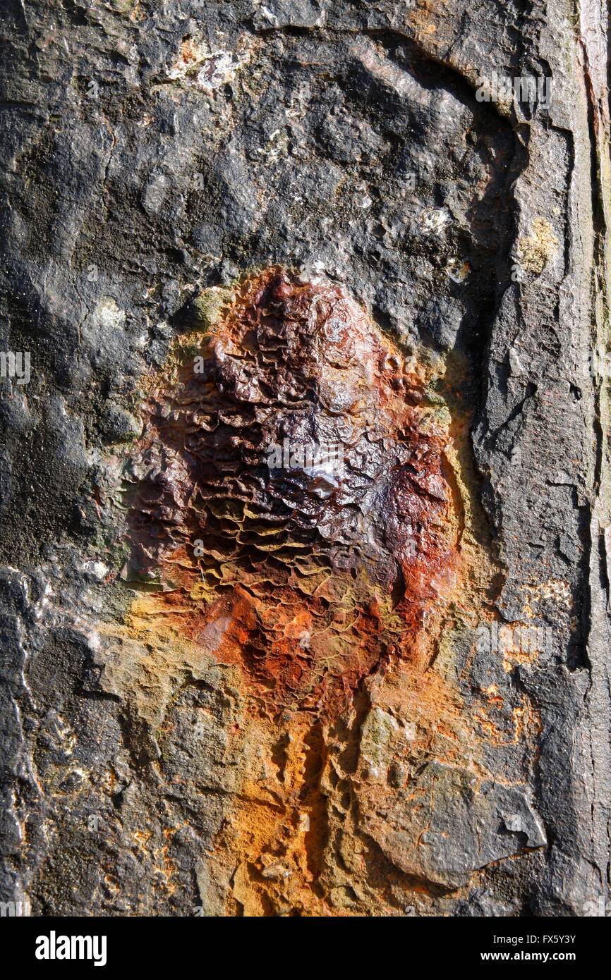 Old weathered rusty metal surface close-up Stock Photo