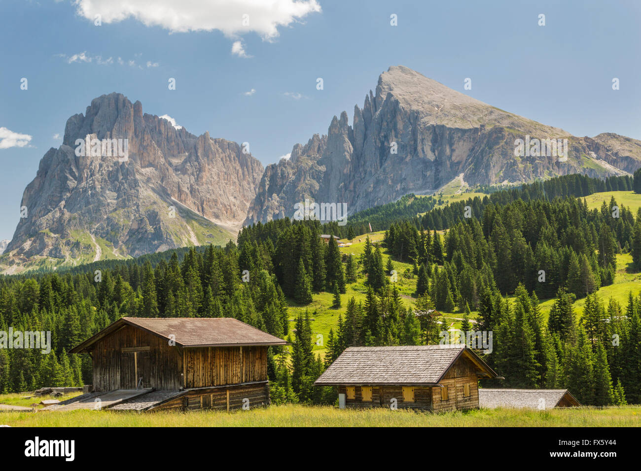 Two barns with two high mountains in background and trees and forest, Selva, val Gardena, Dolomites, Italy Stock Photo