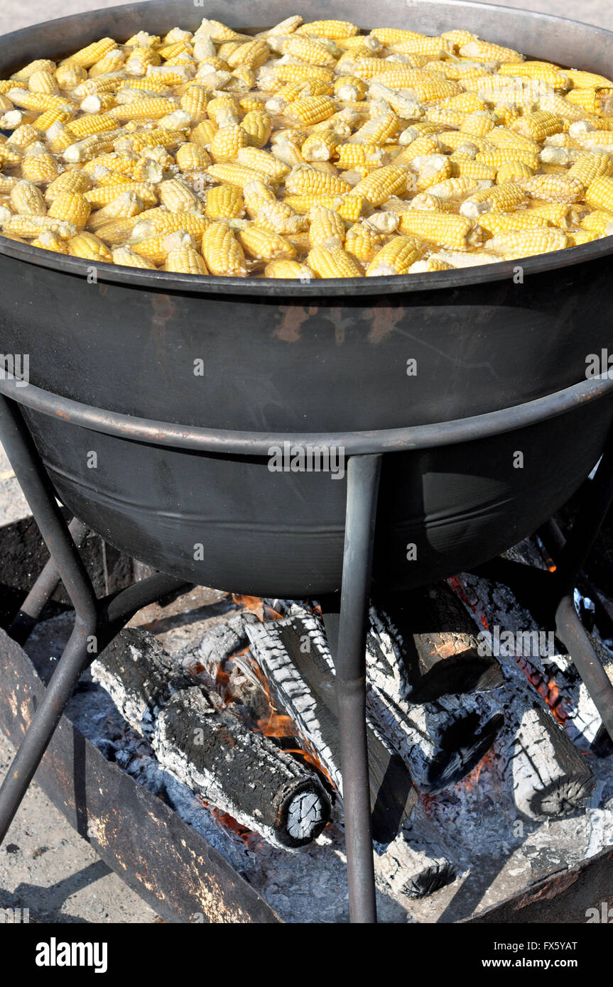 corn boiling in the very big kettle on fire Stock Photo Alamy