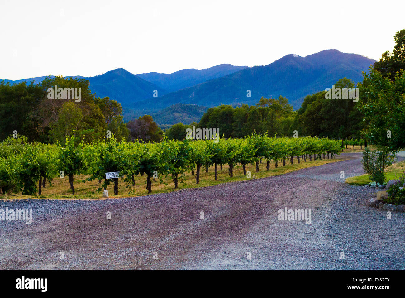 Landscape shot with blue mountains in the background in the Applegate ...