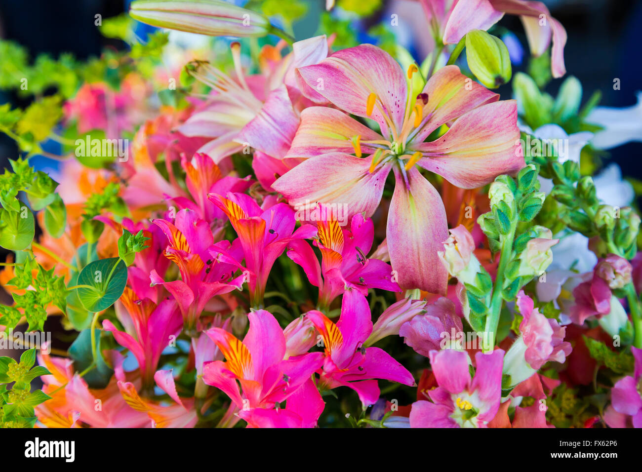 Wedding flowers at a vibrant wedding in Southern Oregon Stock Photo - Alamy
