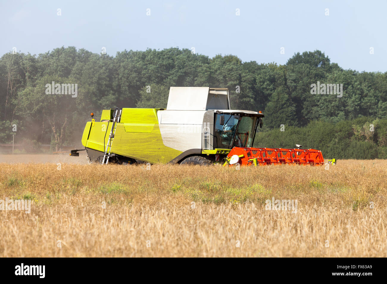 german havester works on a corn field Stock Photo