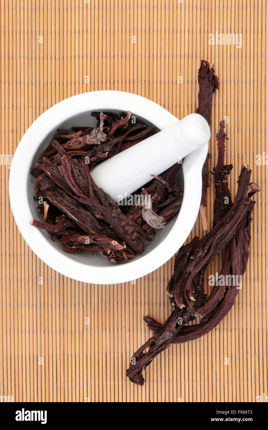 Alkanet herb root in a porcelain mortar with pestle and loose over bamboo background. Alkanna tinctoria. Stock Photo