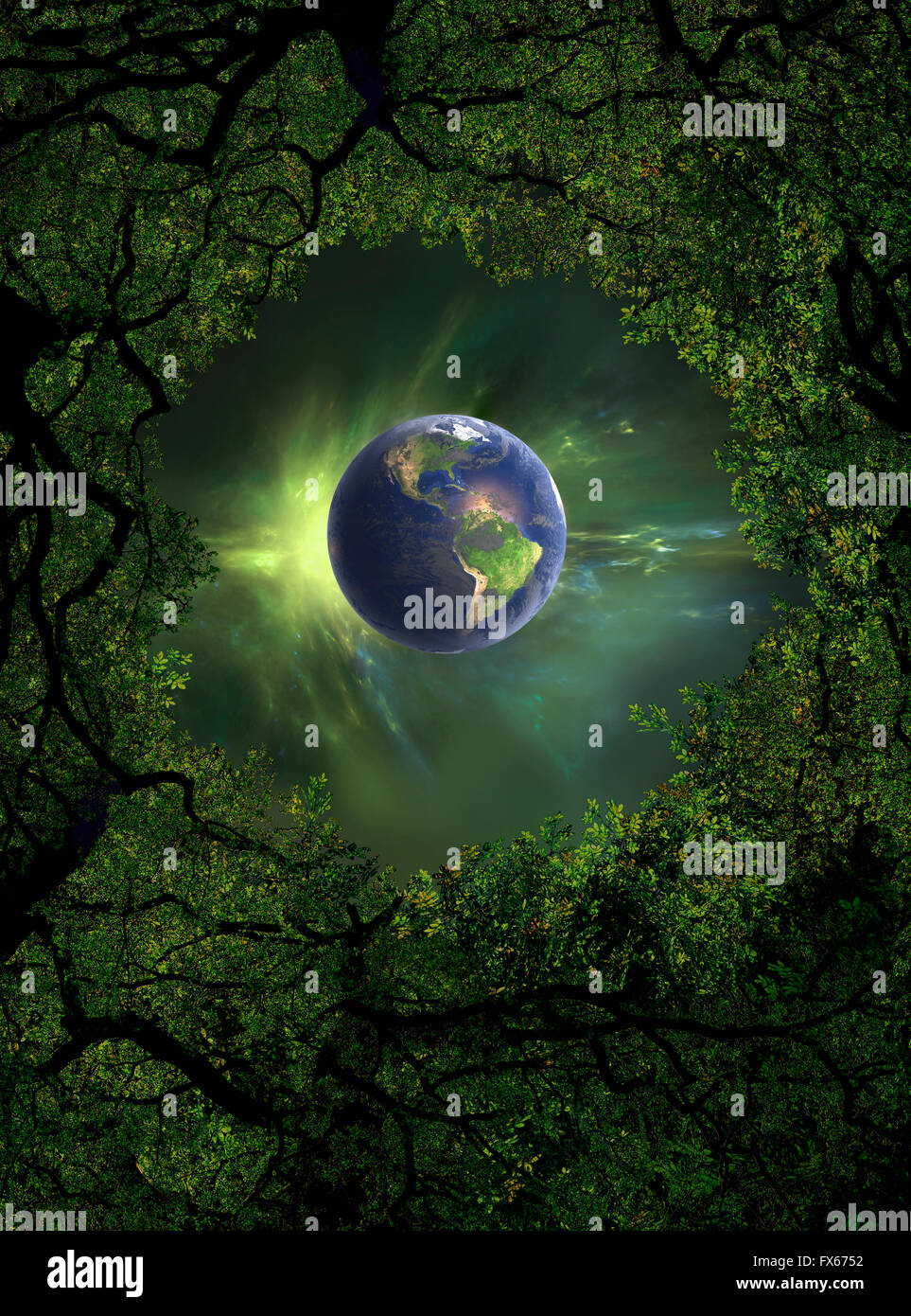 Low angle view of Earth, night sky and tree canopy Stock Photo