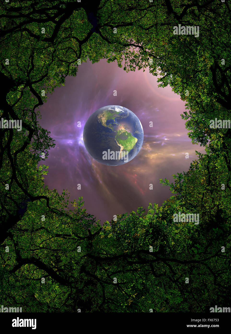 Low angle view of Earth, night sky and tree canopy Stock Photo