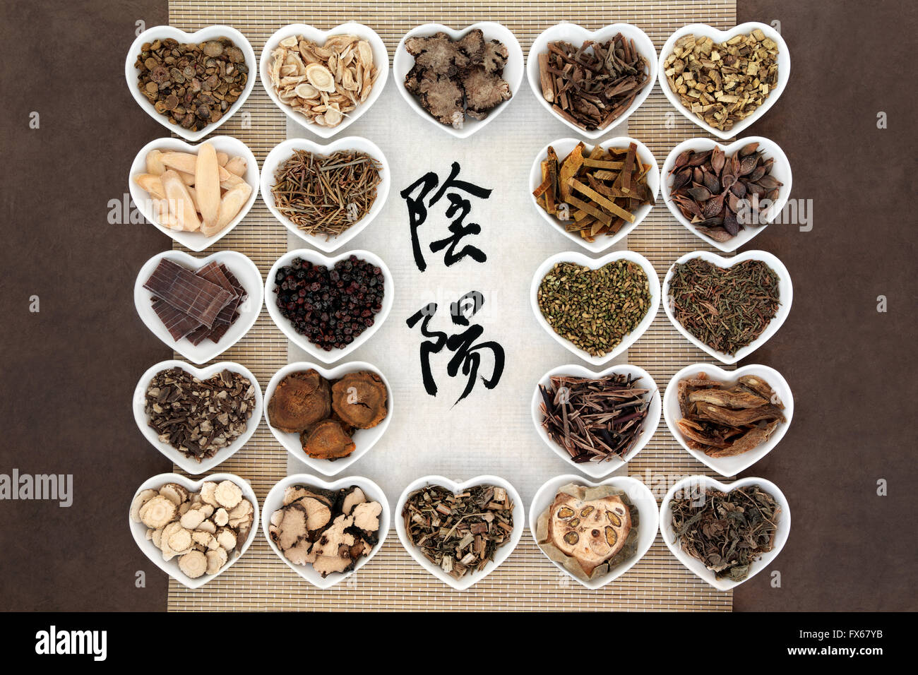 Yin and yang herb selection used in chinese herbal medicine with