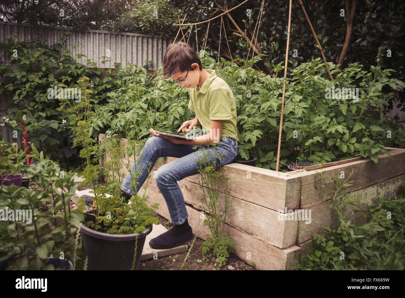 Mixed race boy using digital tablet in garden Stock Photo