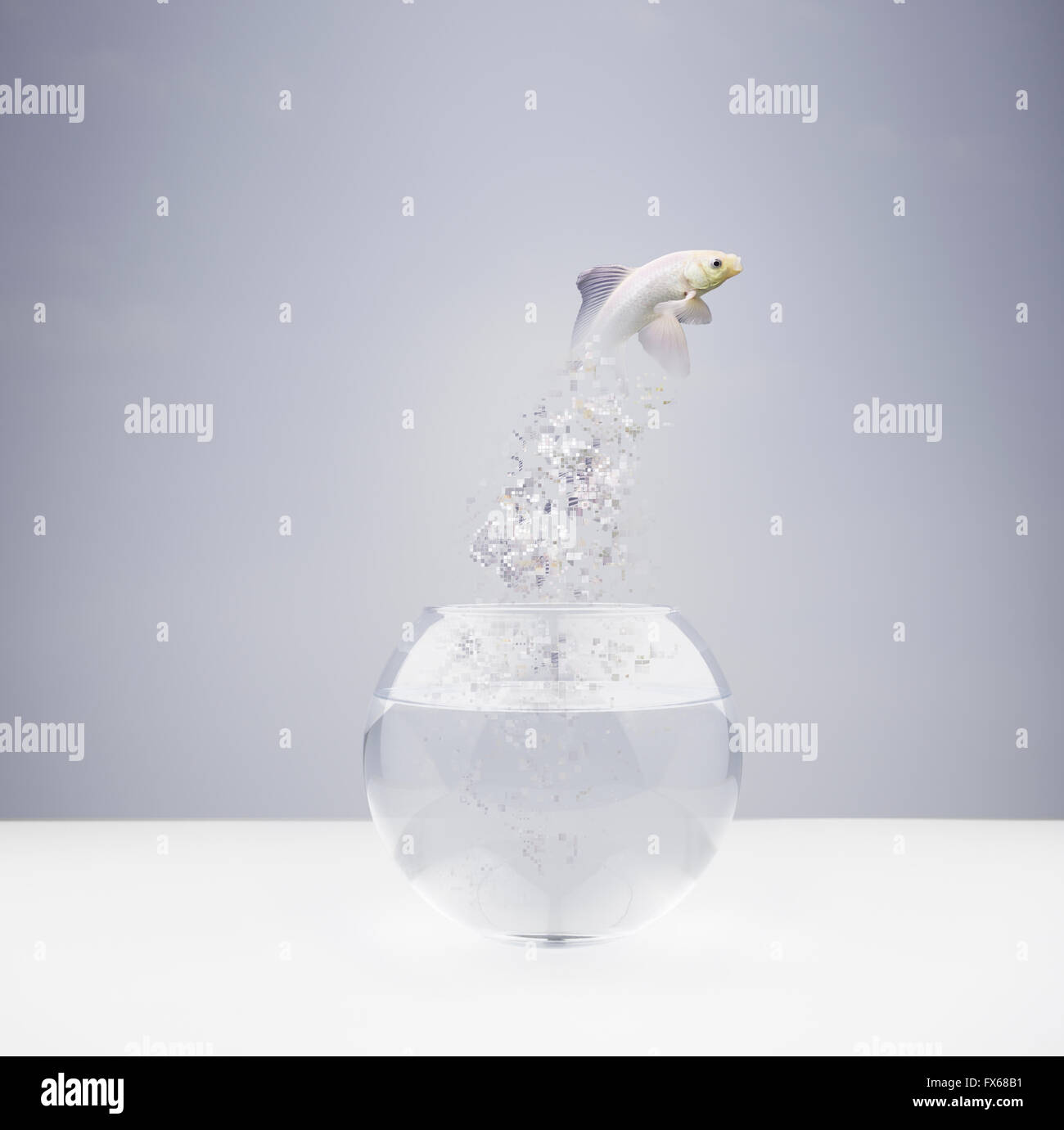 My Image 27