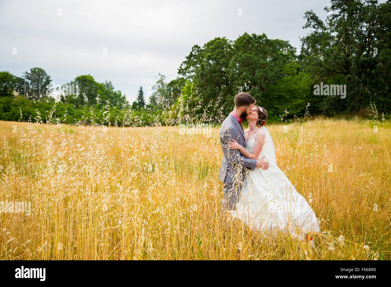 Bride and groom kissing in a field on their wedding day Stock Photo - Alamy