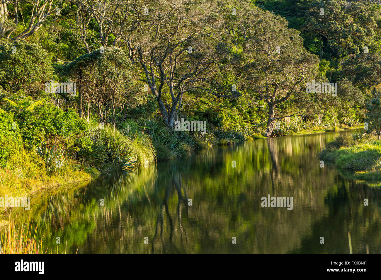 Remote River Hillside and trees reflecting in remote river Stock Photo - Alamy