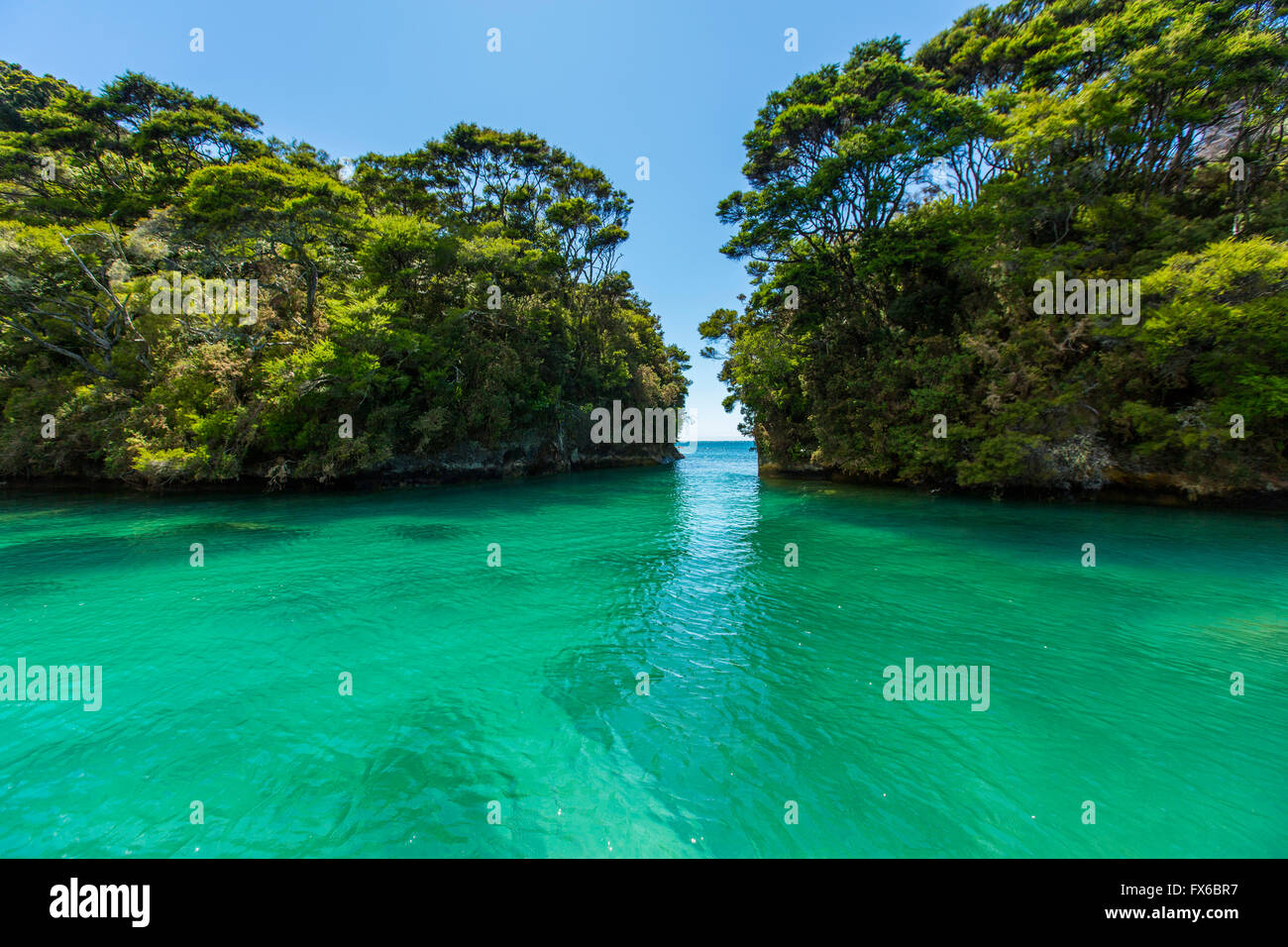 Sun over lush trees and remote ocean cove Stock Photo