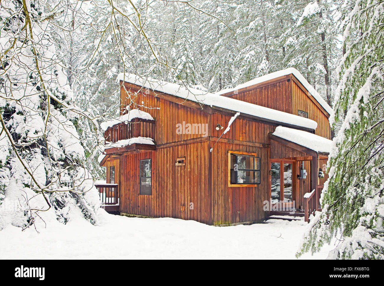 Modern wood cabin in snowy forest Stock Photo