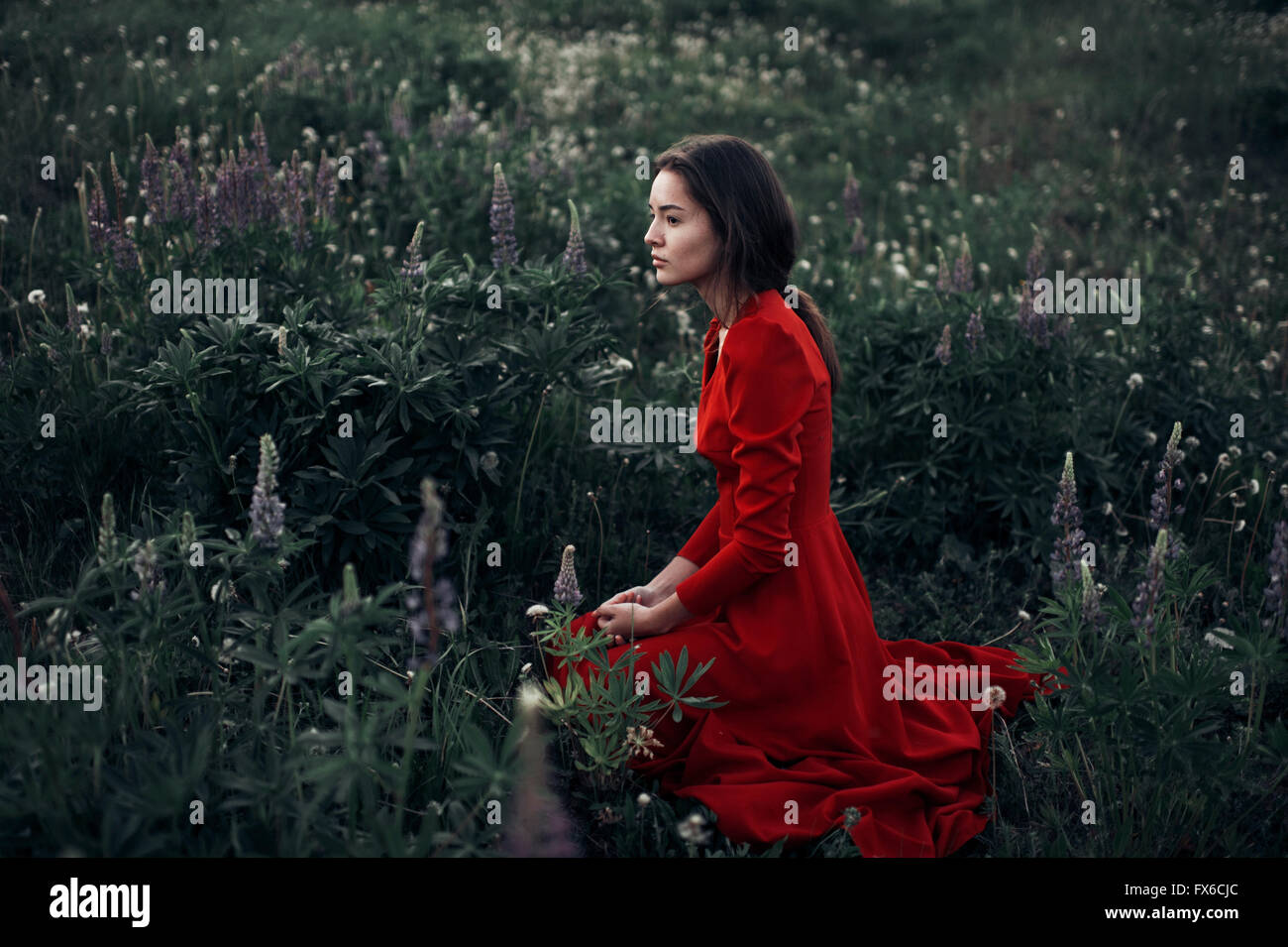 Woman in red dress kneeling hi-res stock photography and images - Alamy