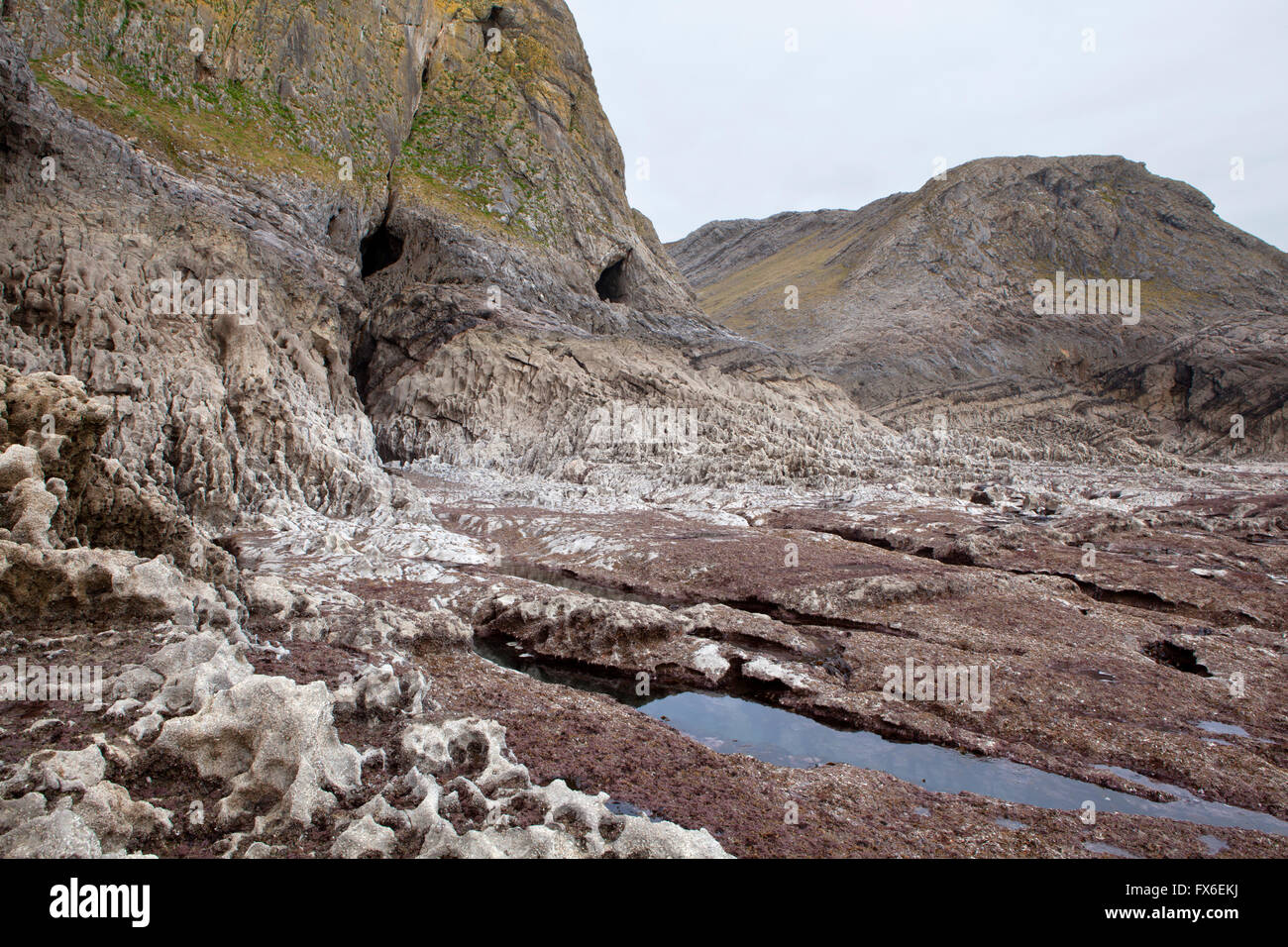 Shoreline below Paviland Cave, low spring tide. The cave is visible in the cliff face. Stock Photo
