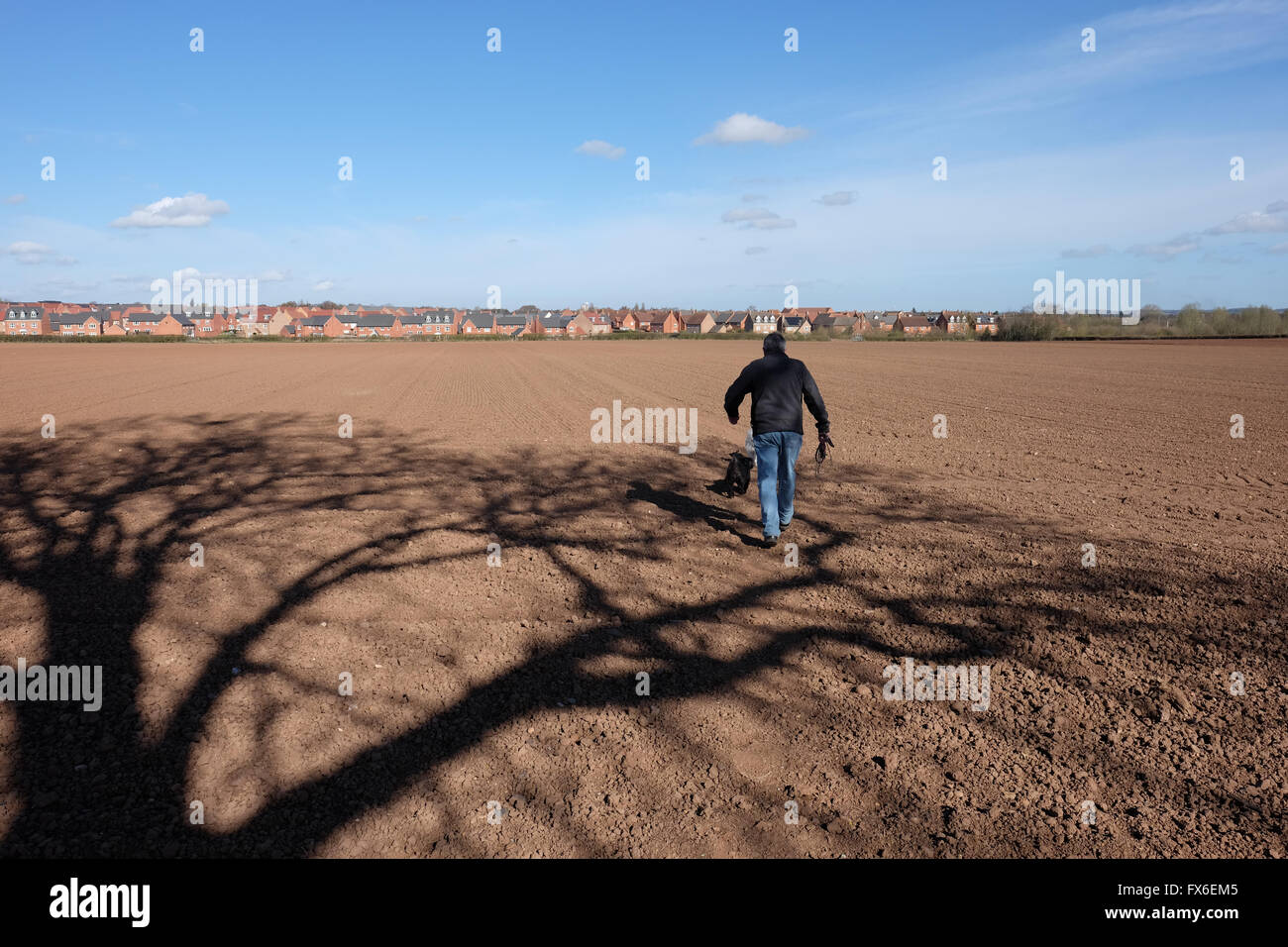 new houses on the edge of farmland in loughborough Stock Photo Alamy