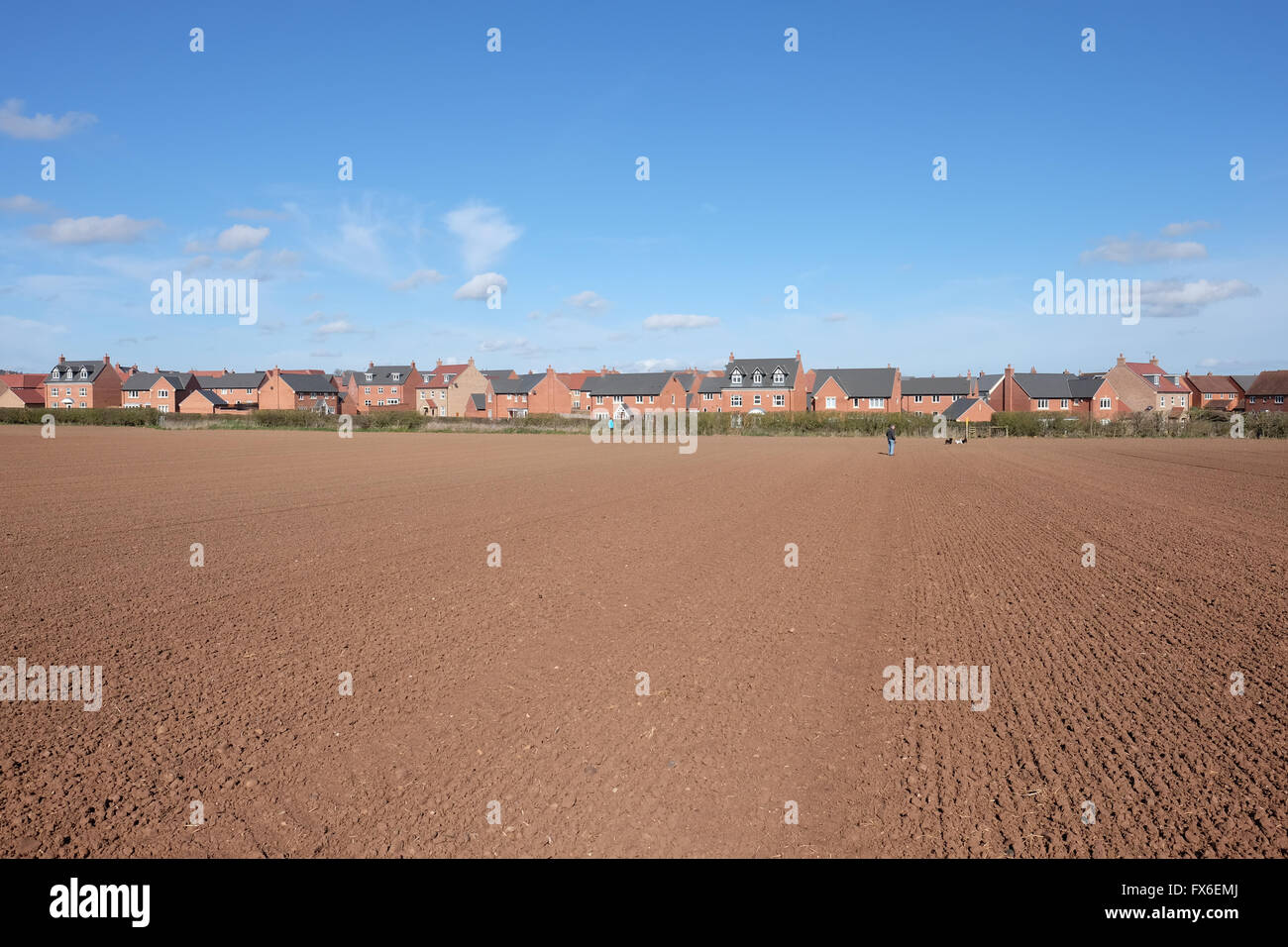 new houses on the edge of farmland in loughborough Stock Photo Alamy