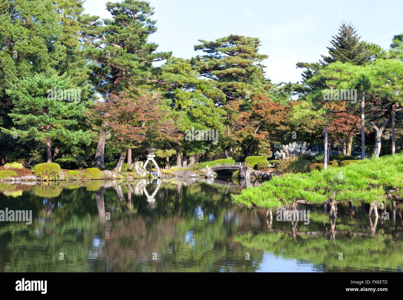 Japanese style garden park with stone bridge, lantern on a lake edge with green pine trees, autumn leaf trees Stock Photo