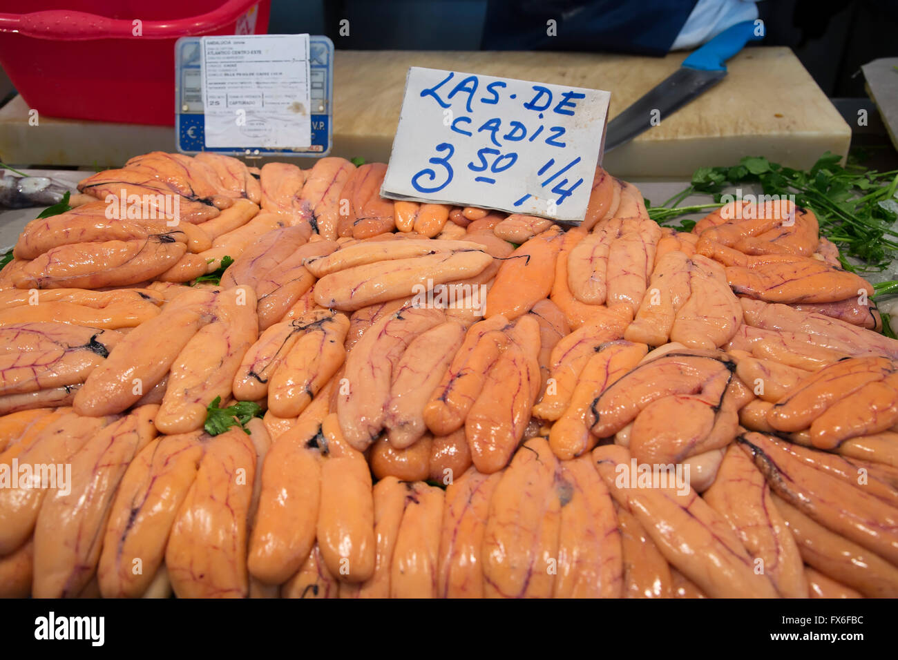 Fish roe. Central Fish Market. Cadiz City, Andalusia Spain. Europe Stock Photo Alamy