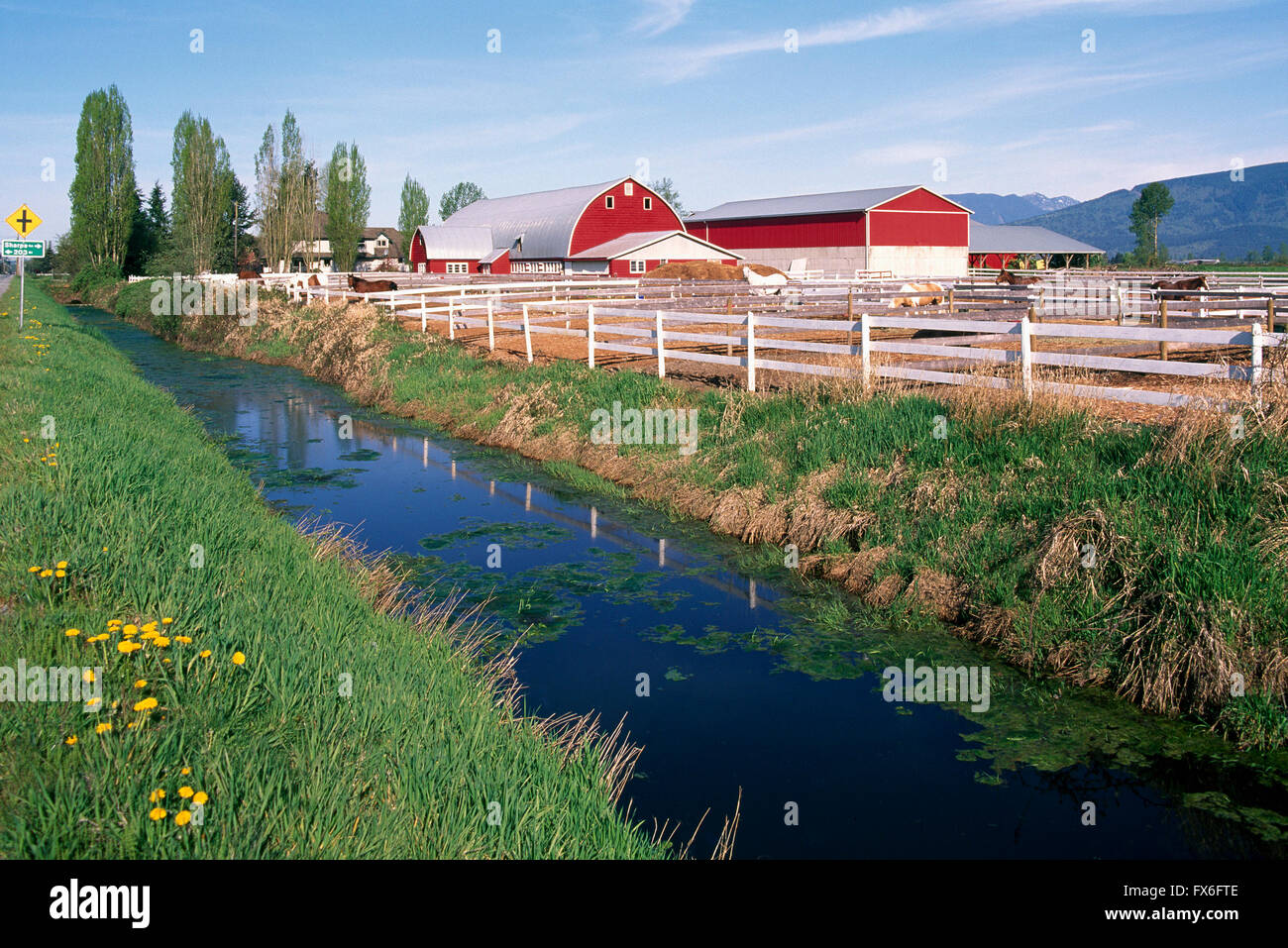 Red Barn on Fraser Valley Farm, Pitt Meadows, BC, British Columbia, Canada Stock Photo