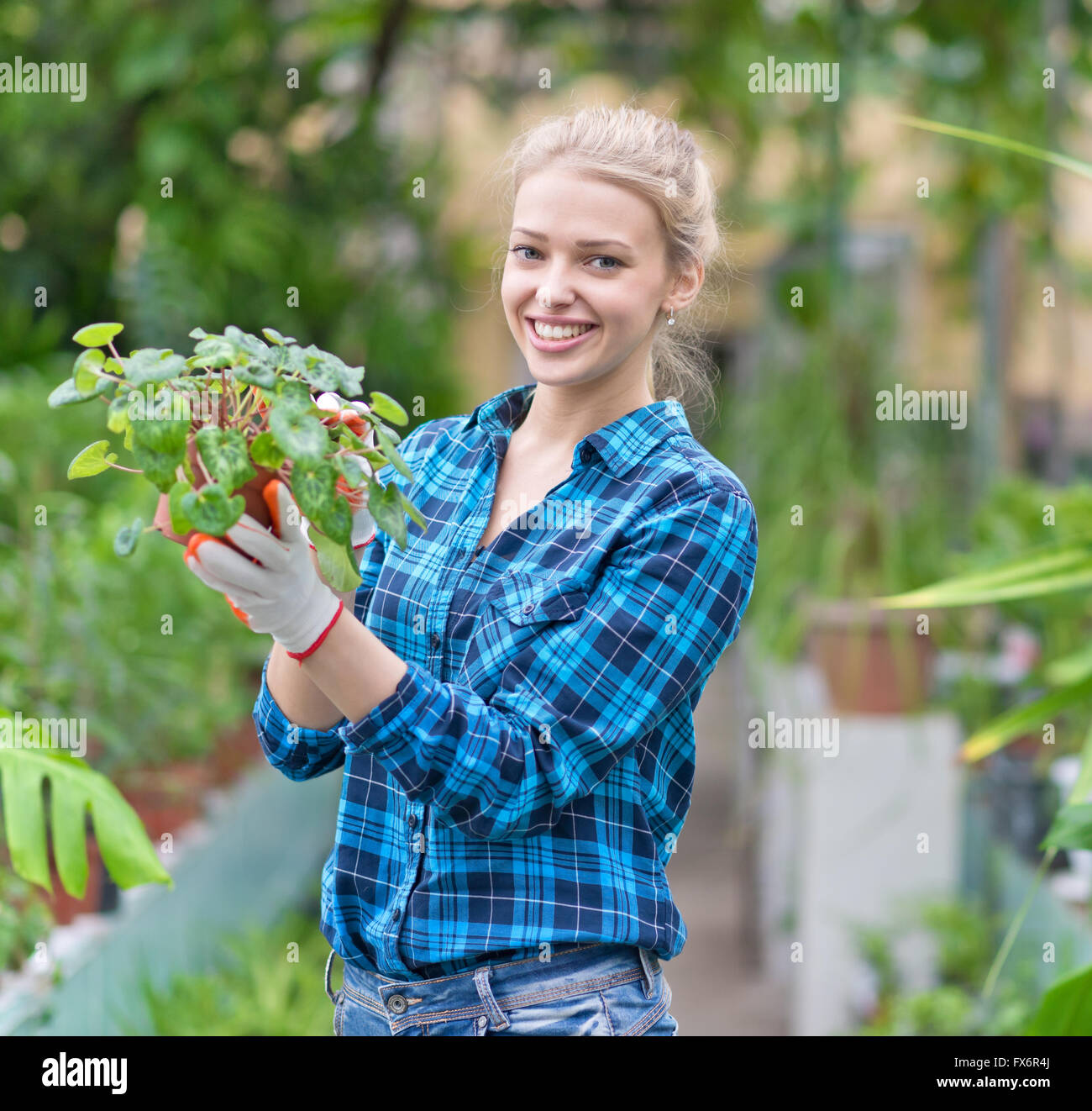 young beautiful female with pot in greenhouse Stock Photo - Alamy