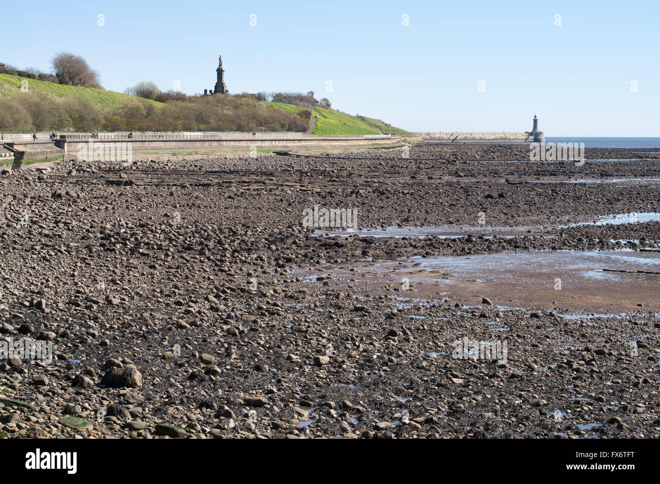 The Black Middens rocks exposed at low tide within the Tyne estuary, Tynemouth, north east England, UK Stock Photo