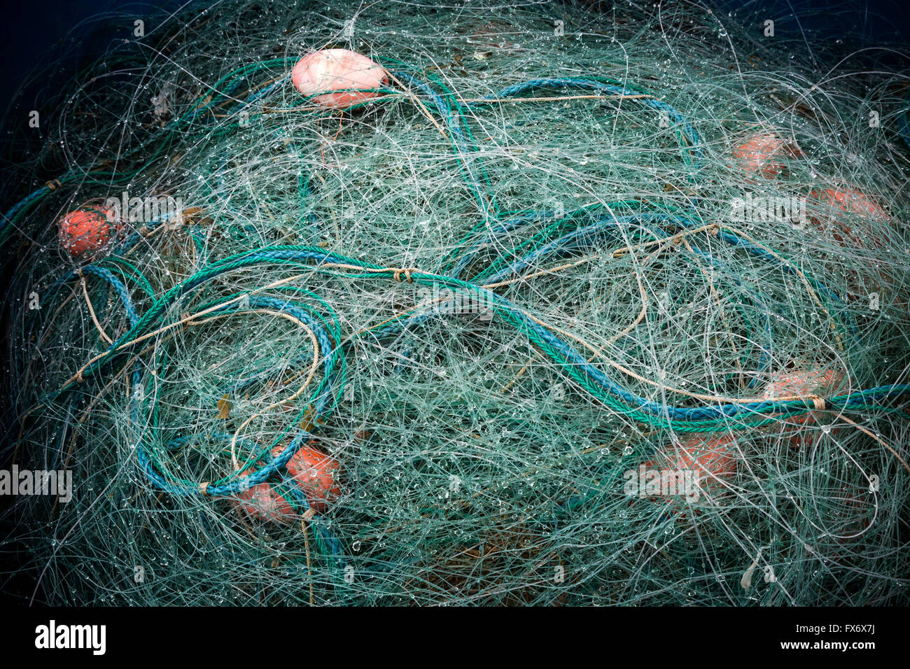 Fishing twine hi-res stock photography and images - Alamy